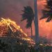Incendio en Hawaii deja 80 personas fallecidas