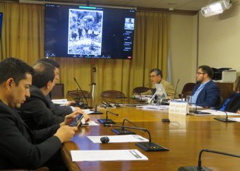 Comienza trámite de Ley que pretende declarar de utilidad pública al Parque Pümpin