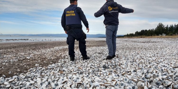 Sernapesca inicia coordinación ante eventuales contingencias por la presencia del fenómeno El Niño