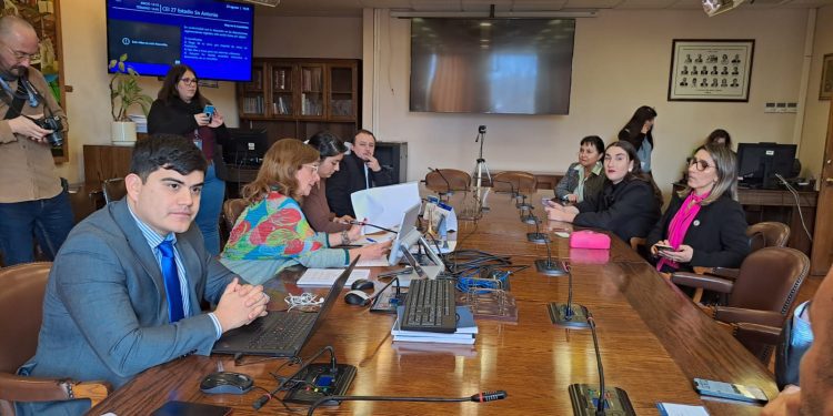 Se constituye Comisión Investigadora por estadio de San Antonio