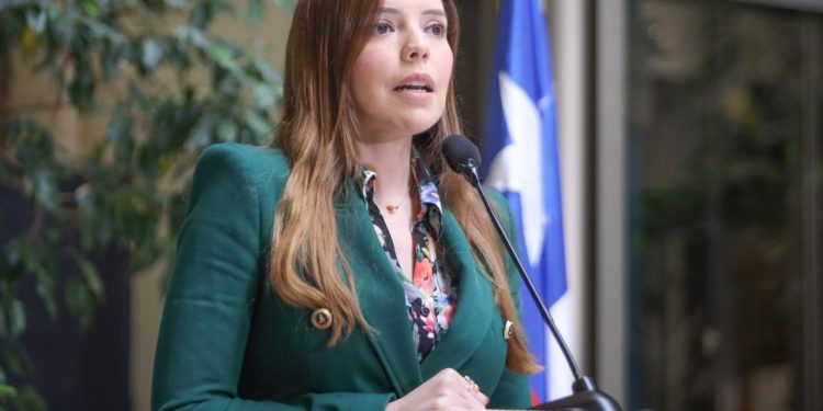 Diputada Camila Flores por la Ley Antiterrorista: «Esperamos que se avance rápidamente»