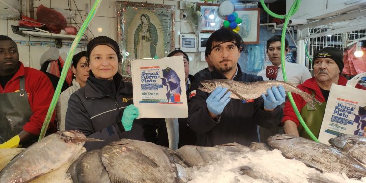Sernapesca llama a cuidar los recursos del mar en lanzamiento de la veda de la merluza común