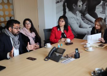 Junji se compromete a reconstruir jardín trencito de Llay Llay