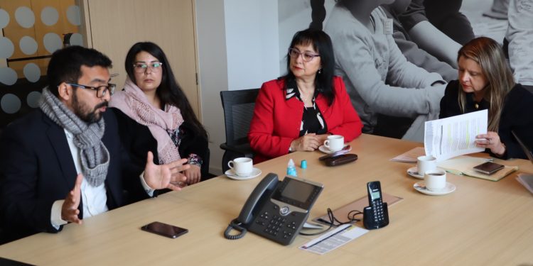 Junji se compromete a reconstruir jardín trencito de Llay Llay