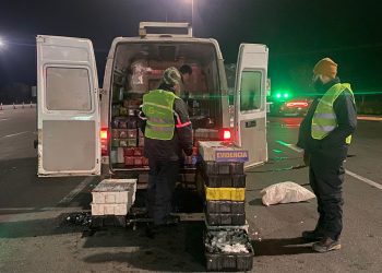 Operativos macrozonales permitieron incautar 4 toneladas de merluza común