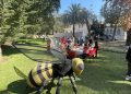 Municipalidad de Viña del Mar realizará diversas actividades en el mes del niño