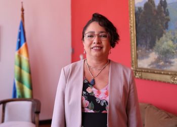 Contraloría suspende por tres meses a gobernadora de Coquimbo por mal uso de vehículo fiscal