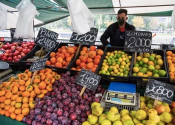 Consecuencia de las lluvias: Precio de las verduras en Fiestas Patrias se mantendrá al alza
