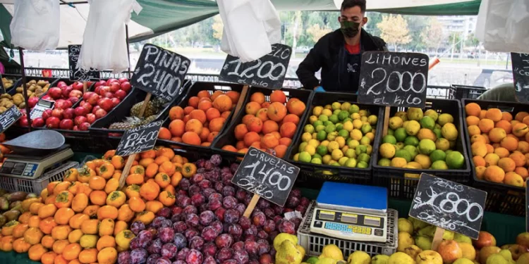 Consecuencia de las lluvias: Precio de las verduras en Fiestas Patrias se mantendrá al alza