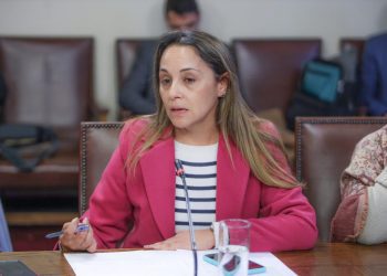 Diputada Carla Morales pide avanzar en procesos tecnológicos que permitan cumplir la normativa