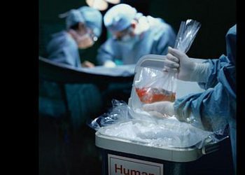 Adherencia al tratamiento, el gran desafío para pacientes trasplantados