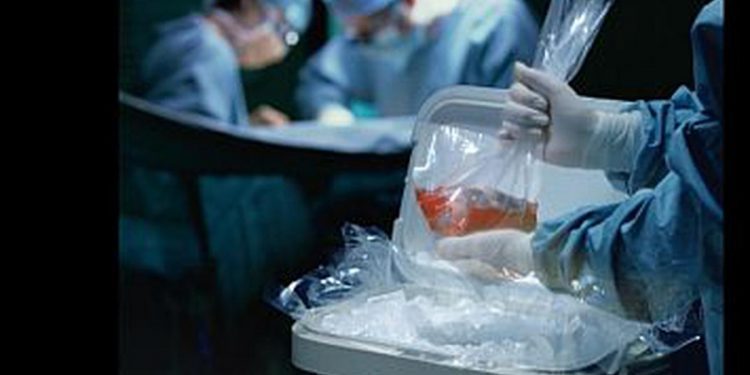 Adherencia al tratamiento, el gran desafío para pacientes trasplantados