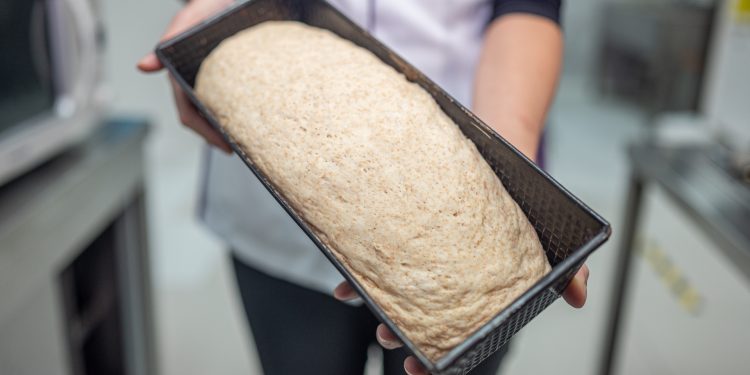 La importancia de mantener un consumo de fibra saludable durante Fiestas Patrias