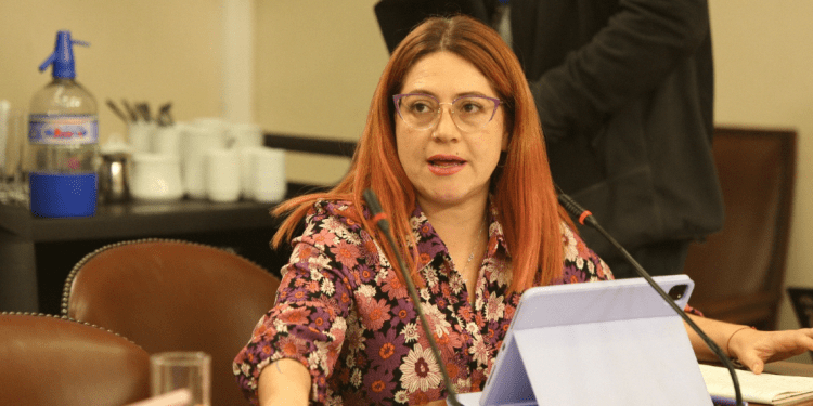 «Son las APR quienes aseguran el derecho humano al agua» Diputada Bello propone ampliar áreas de protección de pozos