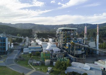 Diputado Guzmán solicita plan de reactivación productiva tras Cierre de Celulosa Arauco