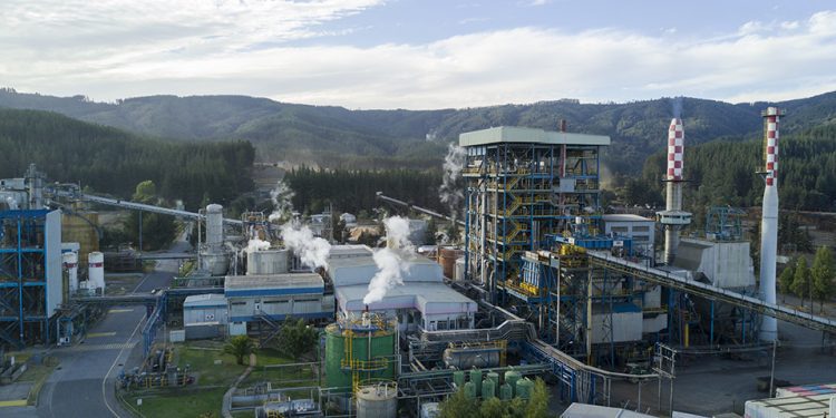 Diputado Guzmán solicita plan de reactivación productiva tras Cierre de Celulosa Arauco