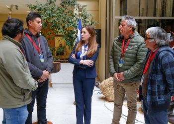 Diputada Camila Flores pide entregar ayuda estatal a los pescadores artesanales de la  región para mitigar pérdidas económicas