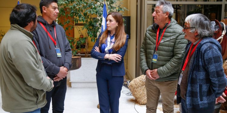 Diputada Camila Flores pide entregar ayuda estatal a los pescadores artesanales de la  región para mitigar pérdidas económicas