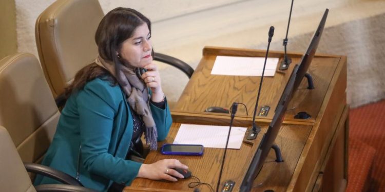 «Acciones violentas se están acercando a zonas urbanas»: Diputada Medina llama a aplicar Ley Antiterrorista en macrozona sur
