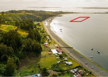 Caso caducidades: Denuncian que concesiones salmoneras ilegales estarían volviendo a operar en Chiloé