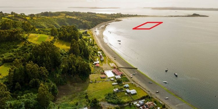 Caso caducidades: Denuncian que concesiones salmoneras ilegales estarían volviendo a operar en Chiloé