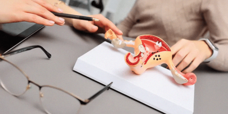 [Opinión] Claudia Gamargo: «La base para erradicar el cáncer cervicouterino es la educación»