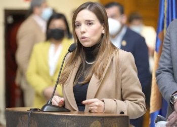 Diputada Flores pide al Ministerio del Interior reforzar la seguridad en el paso fronterizo Los Libertadores