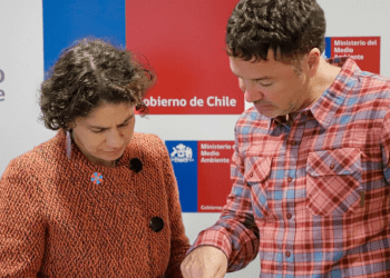 Representante del sur se reúne con Ministra Maisa Rojas para discutir sobre conservación marina