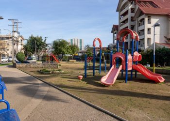 Viña del Mar Recupera Espacio Público: Municipio Adjudica Construcción de Plaza para Mascotas