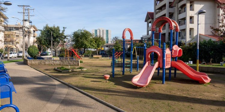 Viña del Mar Recupera Espacio Público: Municipio Adjudica Construcción de Plaza para Mascotas