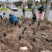 Comienza la recuperación ecológica del bosque de quebrada Las Petras en Concón