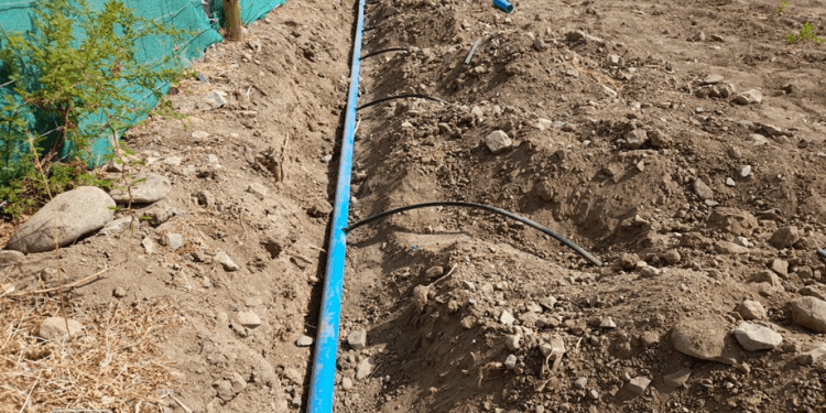 Riego subterráneo: una opción para regiones con escasez hídrica