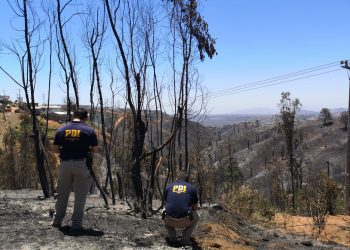 PDI detuvo a presunto autor de mega incendio de Viña del Mar