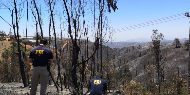 PDI detuvo a presunto autor de mega incendio de Viña del Mar