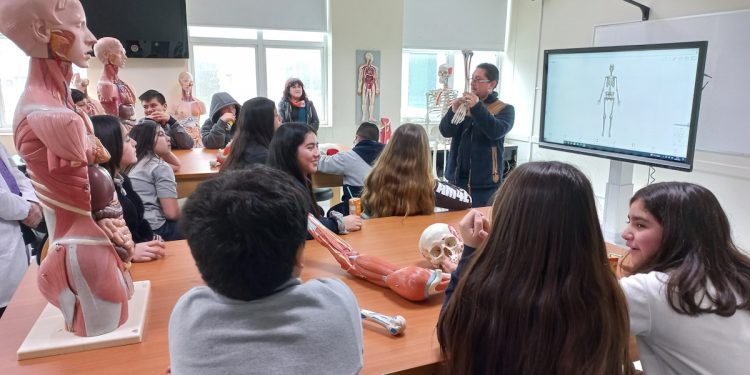 Niños y adolescentes de colegios de Petorca exploran la ciencia en talleres en UDLA gracias al Proyecto FIC Región del Saber