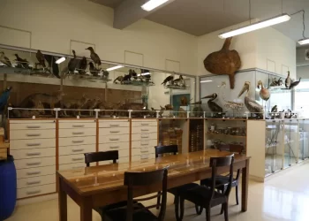 En la PUCV: Sorprendente colección de especies nativas está abierta a los colegios