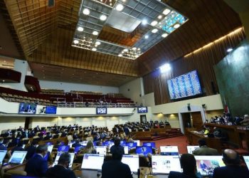 Cámara de Diputados y Diputadas aprobó la conformación de la comisión investigadora por robo de salmones