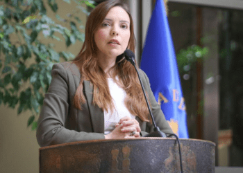 Diputada Flores (RN) busca realizar sesión especial en el Congreso por delitos de explotación sexual