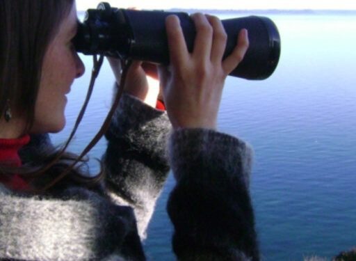 «Conocer para proteger»: La vital interconexión entre el delfín austral y los bosques marinos de huiros