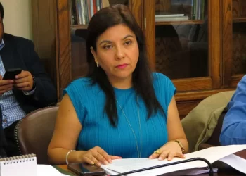 «Ha ocurrido por años y 100 veces más grave en Tarapacá”: Diputada Astudillo (PS) sobre a socavones