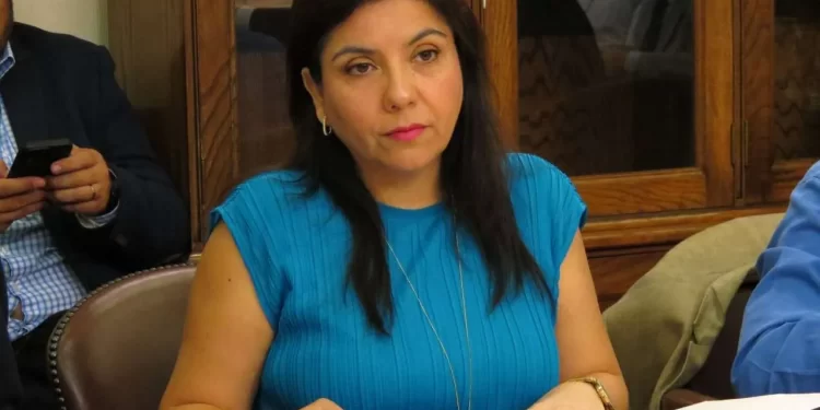 «Ha ocurrido por años y 100 veces más grave en Tarapacá”: Diputada Astudillo (PS) sobre a socavones