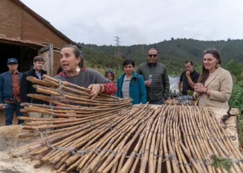 Delegación de Colorado EE.UU. estrecha lazos con el Municipio Abierto de Quilpué y visita la comuna