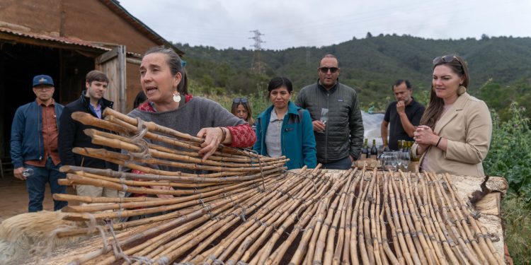 Delegación de Colorado EE.UU. estrecha lazos con el Municipio Abierto de Quilpué y visita la comuna