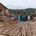 Delegación de Colorado EE.UU. estrecha lazos con el Municipio Abierto de Quilpué y visita la comuna