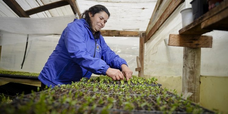 INDAP invita a postular a sus programas: Estudios de Riego y Drenaje y al Plan Caprino