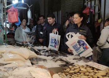 Sernapesca destaca gran cumplimiento de la veda de la merluza común