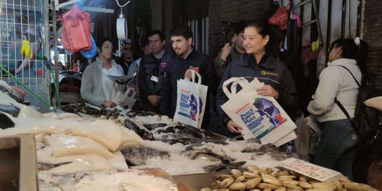 Sernapesca destaca gran cumplimiento de la veda de la merluza común
