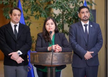 Diputada Medina denuncia que a meses de reunión con ex ministro de Educación compromisos siguen pendientes