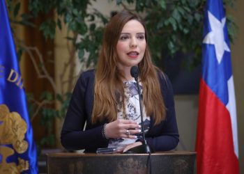 Diputada Camila Flores solicita a municipios acciones para frenar el comercio ilegal en las calles