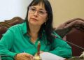 Diputada Marzán ofició fiscalización a delegada González por robos en departamentos afectados por socavones